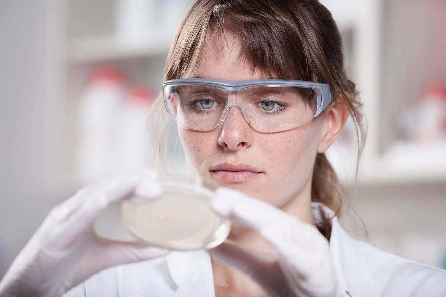Laboratory scientist examining a sample plate